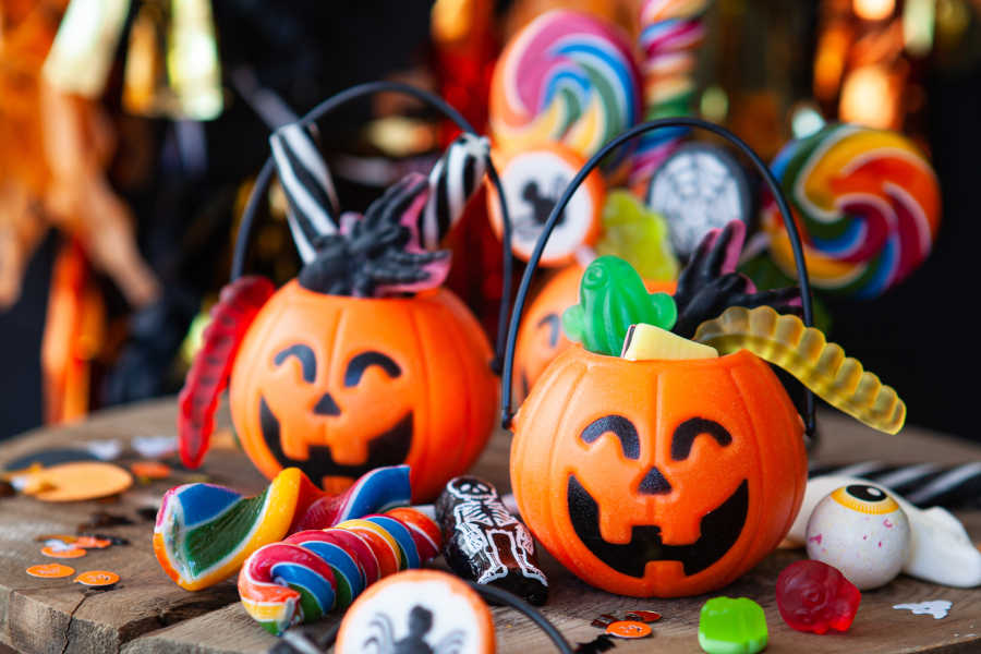 ofertas hotel bahia de alcudia halloween bahia de alcudia